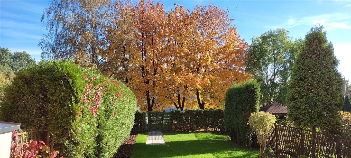 Mieszkanie dwupokojowe na sprzedaż Wodzisław Śląski  50m2 Foto 1