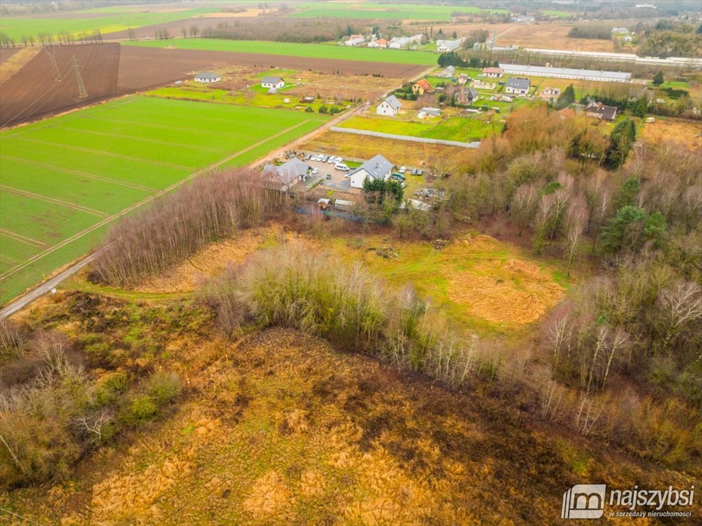 Działka rolna na sprzedaż Żółwia Błoć, Wieś  23 800m2 Foto 11