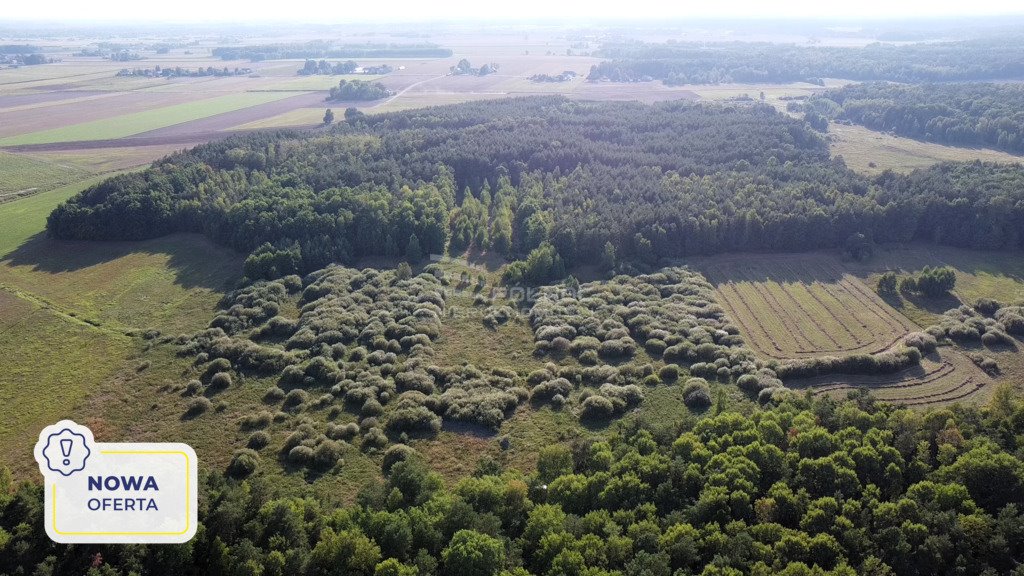 Działka rolna na sprzedaż Zacisze  14 200m2 Foto 1