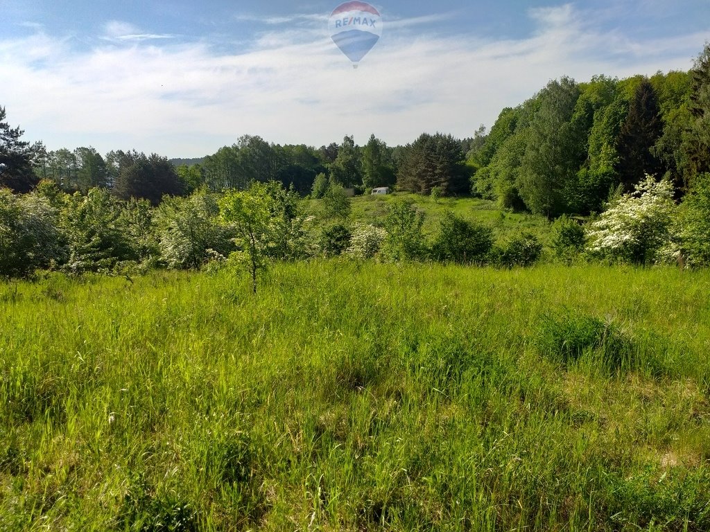 Działka rekreacyjna na sprzedaż Maradki  15 927m2 Foto 8