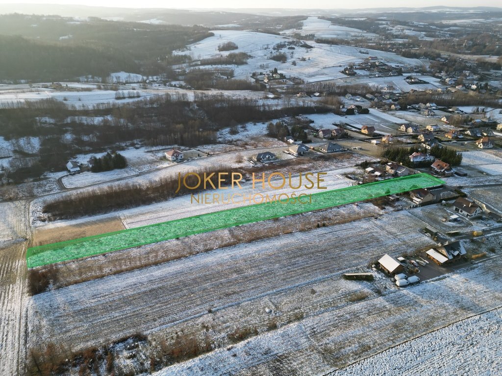 Działka rolna na sprzedaż Borek Stary  5 500m2 Foto 9