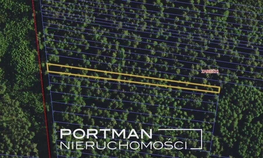 Działka leśna na sprzedaż Zabieżki  2 008m2 Foto 1