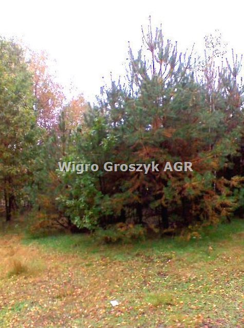 Działka pod Warszawą z dużym potencjałem i blisko natury Izabelin-Dziekanówek  800m2 Foto 1