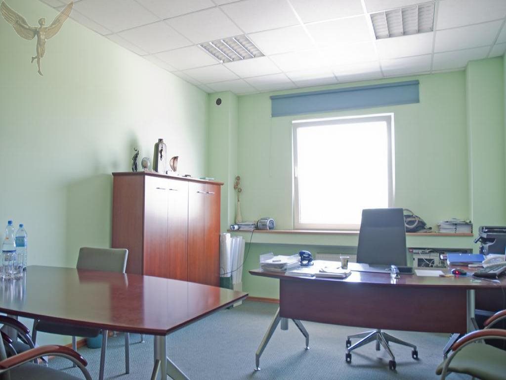 Magazyn na sprzedaż Kórnik  14 500m2 Foto 4