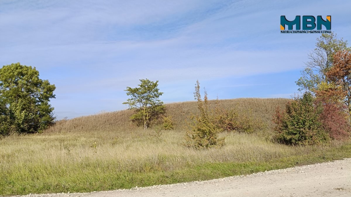 Działka budowlana na sprzedaż Giżycko, Grajwo  16 031m2 Foto 17