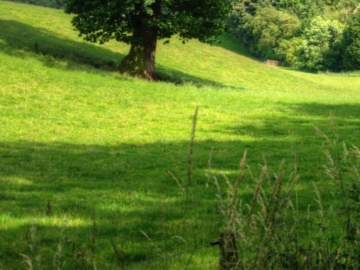 Działka budowlana na sprzedaż Iwanówka  3 000m2 Foto 2