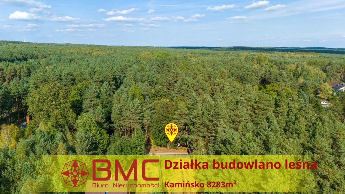 Działka budowlana na sprzedaż Kamińsko  8 283m2 Foto 1