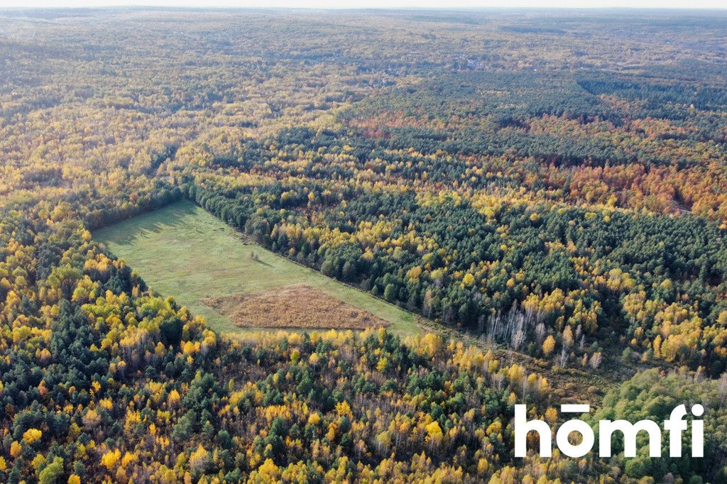 Działka budowlana na sprzedaż Chlewiska  130 600m2 Foto 5