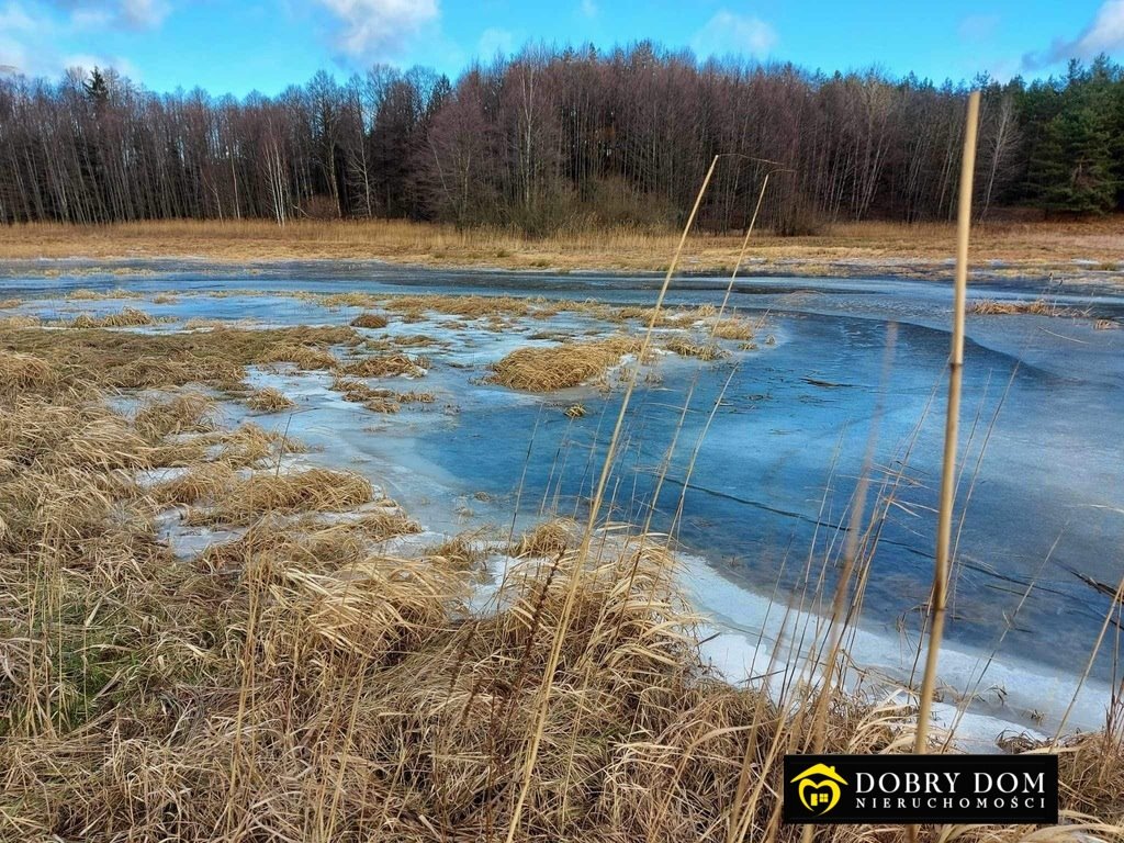 Działka rolna nad rzeką Supraśl, las, cisza - polecam! Podzałuki  4 900m2 Foto 1