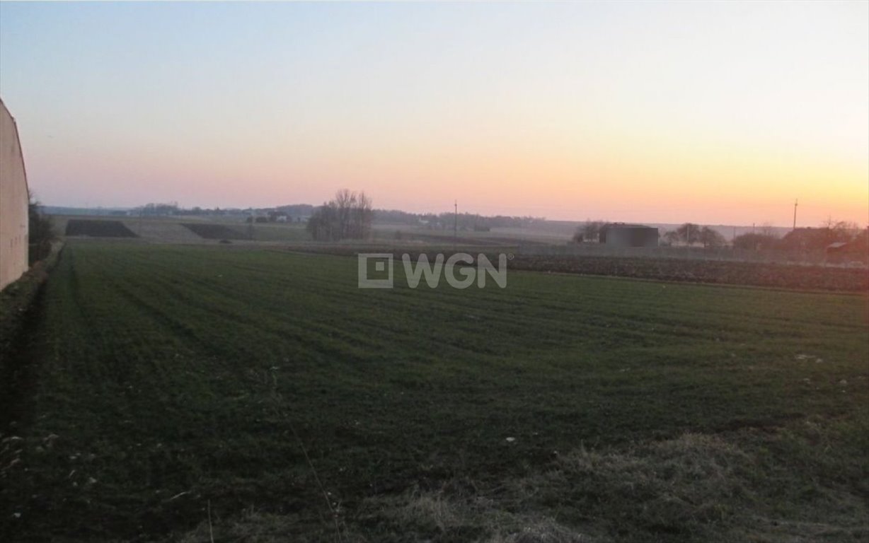 Działka budowlana na sprzedaż Pińczyce, Pińczyce  16 921m2 Foto 7