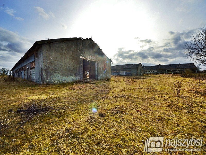 Lokal użytkowy na sprzedaż Choszczno  555 000m2 Foto 14