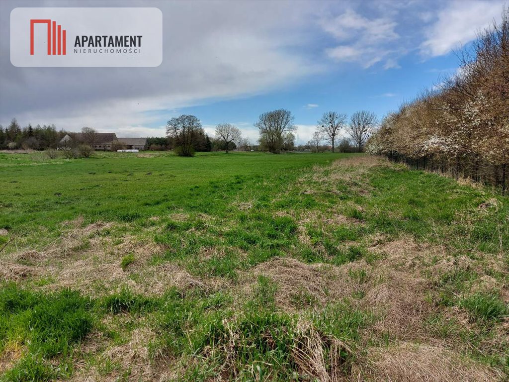 Działka z linią brzegową Noteci, 6000 m2, WZ na 3 domy Małe Rudy  6 069m2 Foto 1