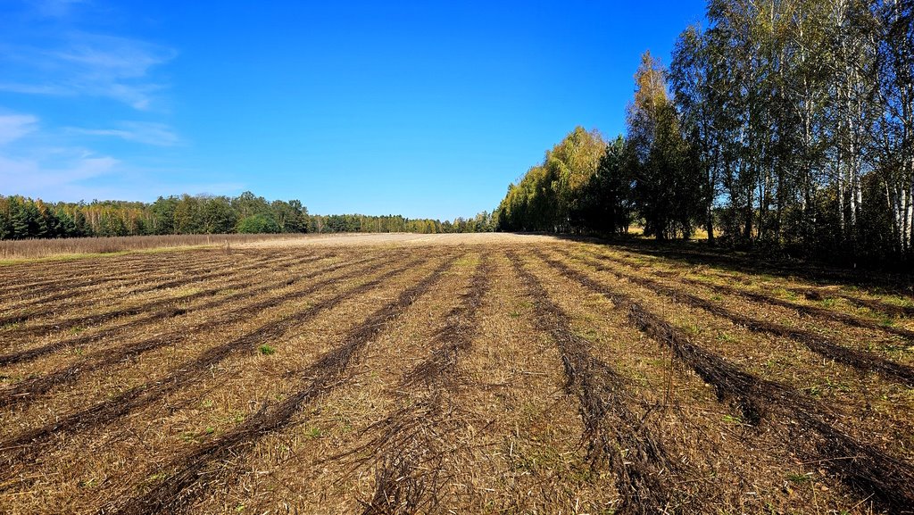 Działka budowlana na sprzedaż Grabostów  1 037m2 Foto 2