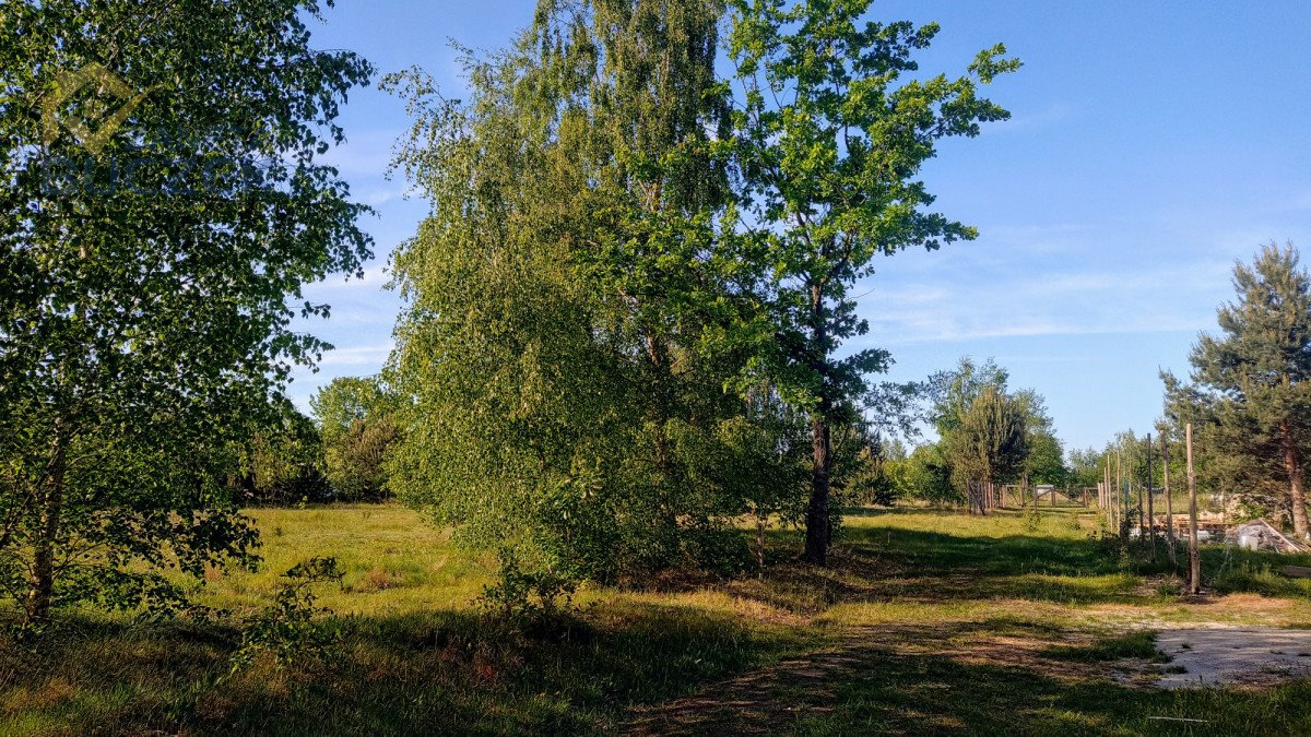 Działka budowlana na sprzedaż Adamowa Góra  1 100m2 Foto 4