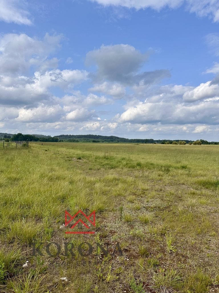 Działka inna na sprzedaż Wasilków  35 500m2 Foto 1