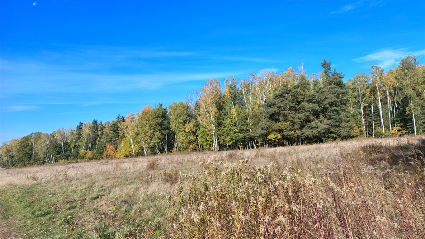 Działka budowlana na sprzedaż Brzozowica, Brzozowica  830m2 Foto 16