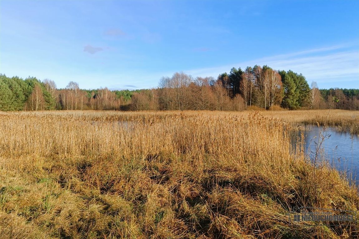 Działka inna na sprzedaż Komorze  3 593m2 Foto 8