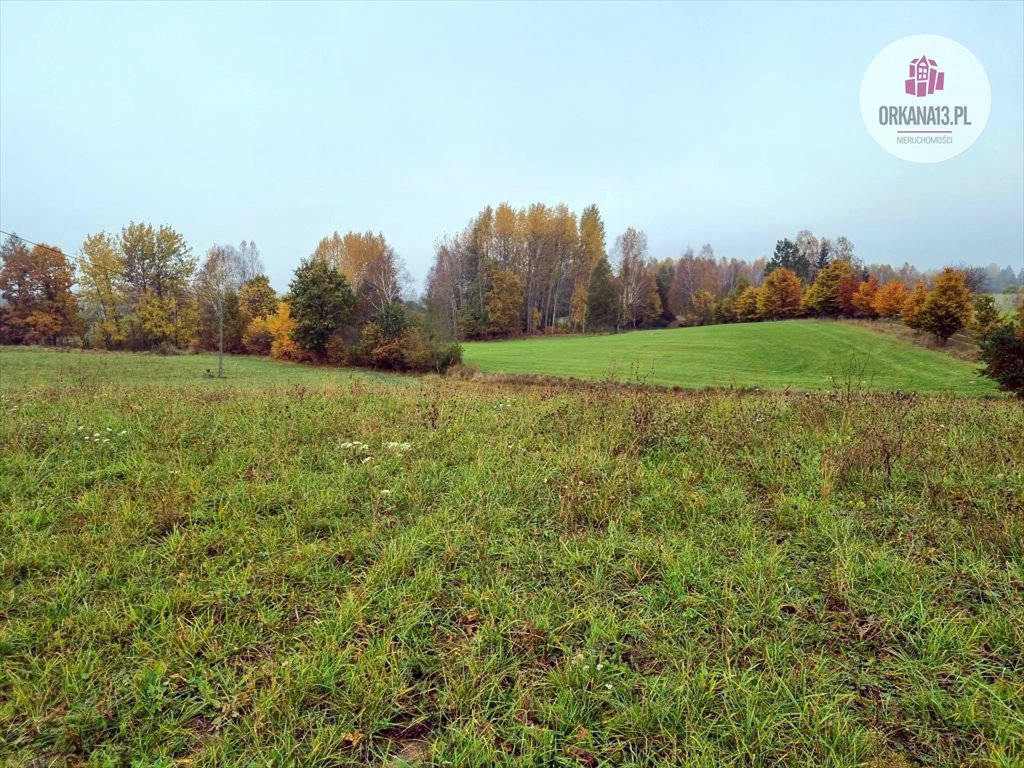 Działka rolna na sprzedaż Przykop, Przykop  27 623m2 Foto 7