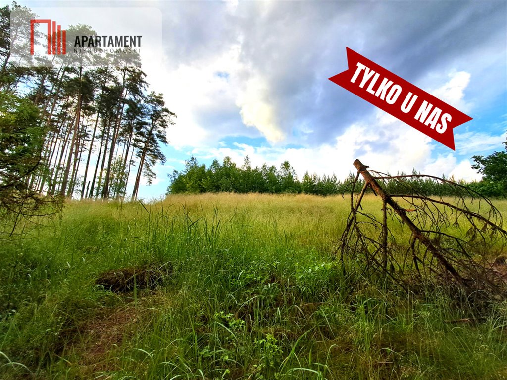 Działka gospodarstwo rolne na sprzedaż Szumiąca  2 200m2 Foto 6