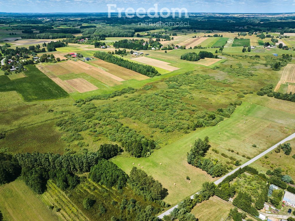 Działka budowlana na sprzedaż Żalin  8 434m2 Foto 7