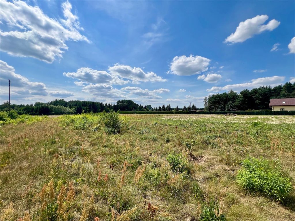 Działka budowlana na sprzedaż Kotorydz, Szczakoska  800m2 Foto 4