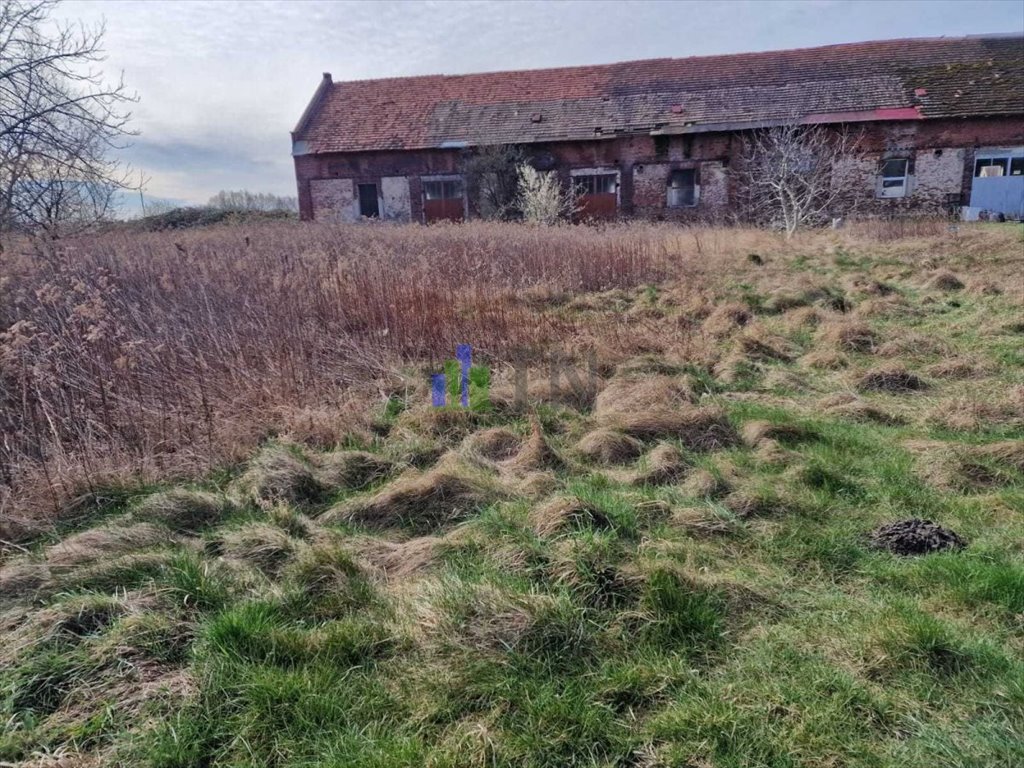 Działka z budynkiem 330 m², media, inwestycja w Jeszkowicach Jeszkowice  1 254m2 Foto 1