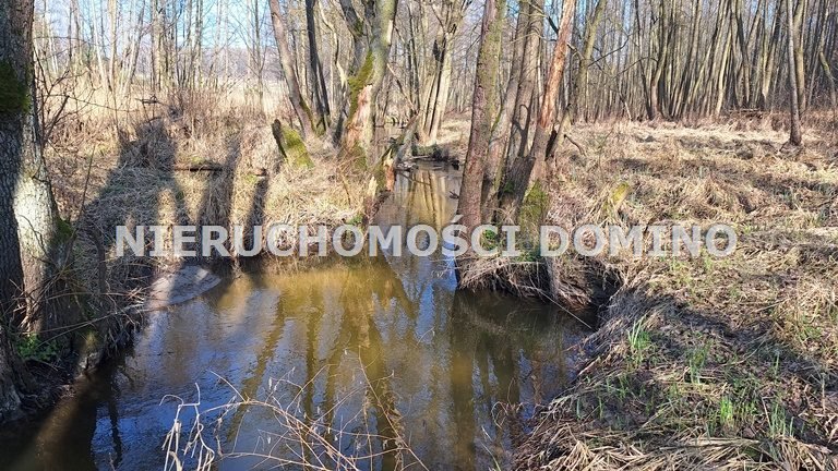 Działka inna na sprzedaż Bronowice, Helenówka  6 800m2 Foto 17