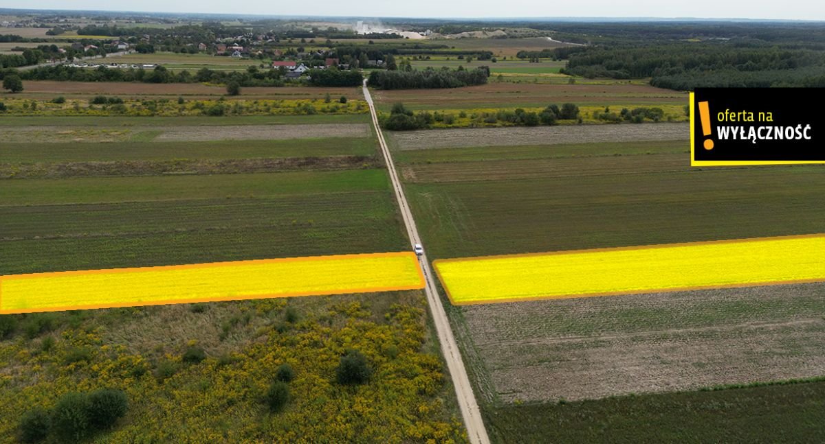 Działka rolna na sprzedaż Celiny  13 633m2 Foto 4