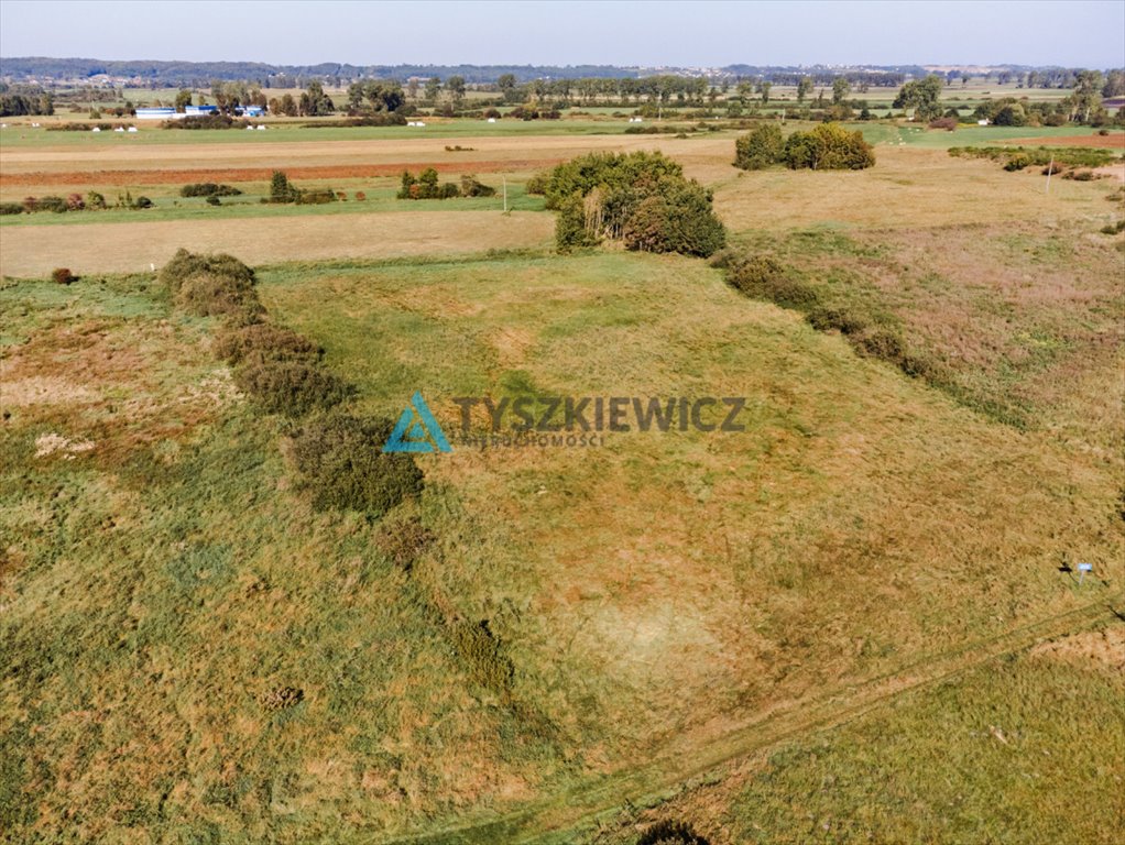 Działka rolna na sprzedaż Reda, Rolnicza  15 800m2 Foto 6