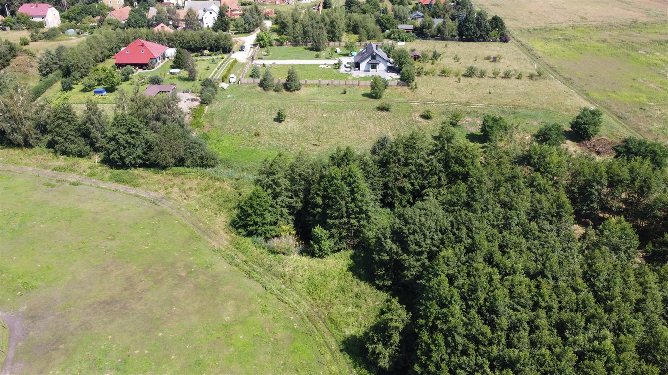 Działka budowlana na sprzedaż Zakrzyce  3 838m2 Foto 16