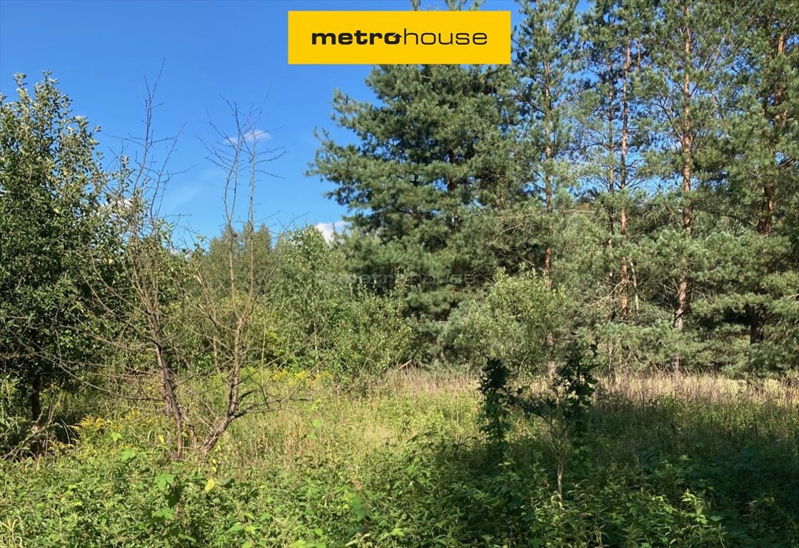 Do sprzedania działka 2,17 ha nad Narwią z MPZP - inwestycja i relaks Rybaki  21 700m2 Foto 1