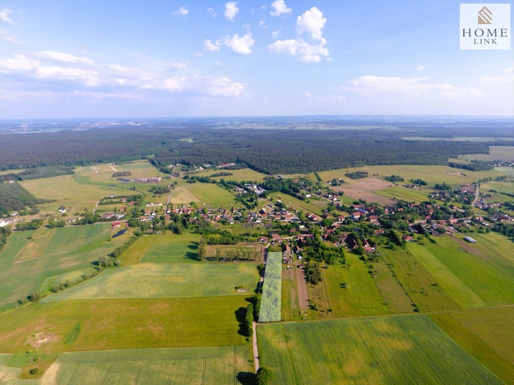 Działka budowlana na sprzedaż Liwa, Zielona  5 000m2 Foto 8