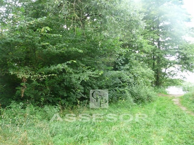 Działka rolna 8 400 m² z prądem i wodą – Sierzchów Sierzchów, Gm. Opatówek  8 400m2 Foto 1