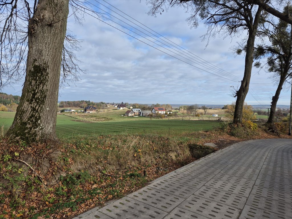 Działka budowlana na sprzedaż Barłomino  10 400m2 Foto 7