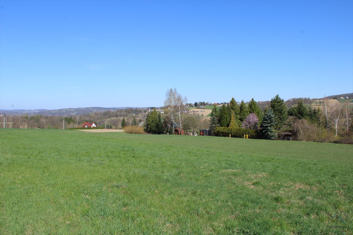 Działka rolna na sprzedaż Kwapinka  11 157m2 Foto 1
