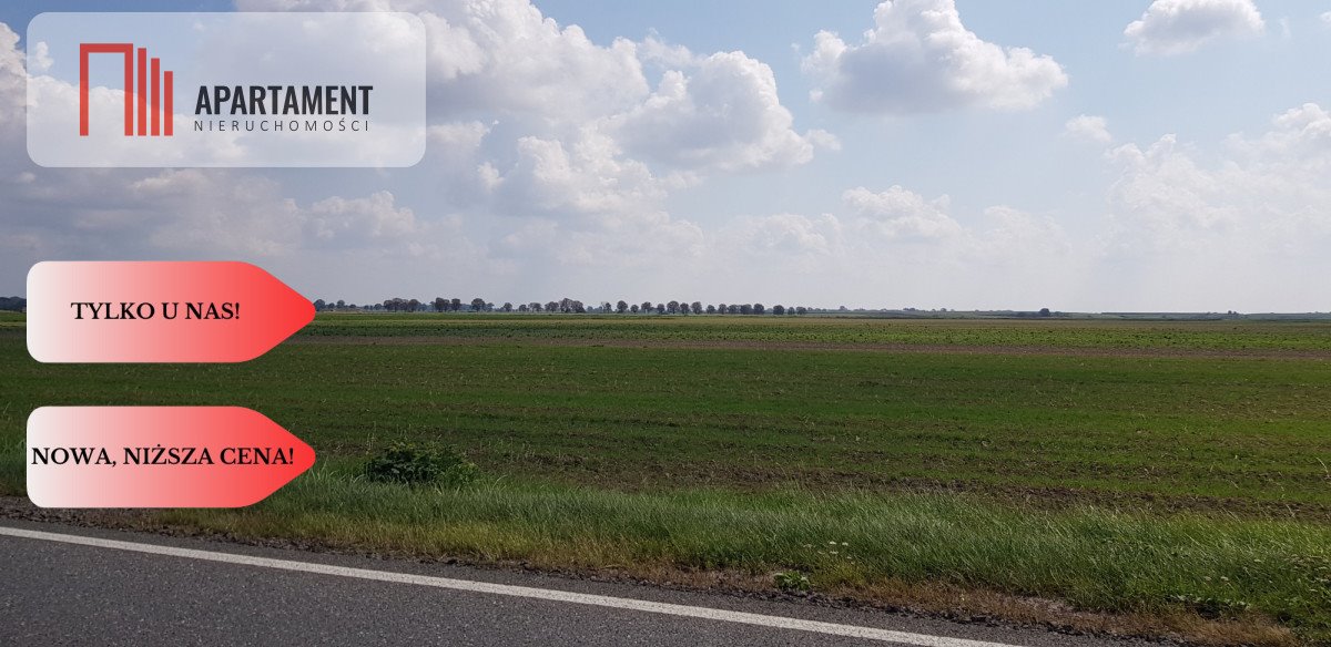 Działka inwestycyjna przy S10 w Lisi Ogon, 15 100 m2 Lisi Ogon, Cicha  15 100m2 Foto 1