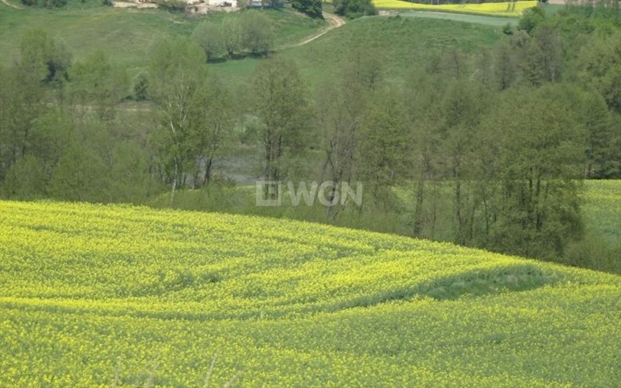 Kawalerka na sprzedaż Trepki, Trepki  64m2 Foto 7