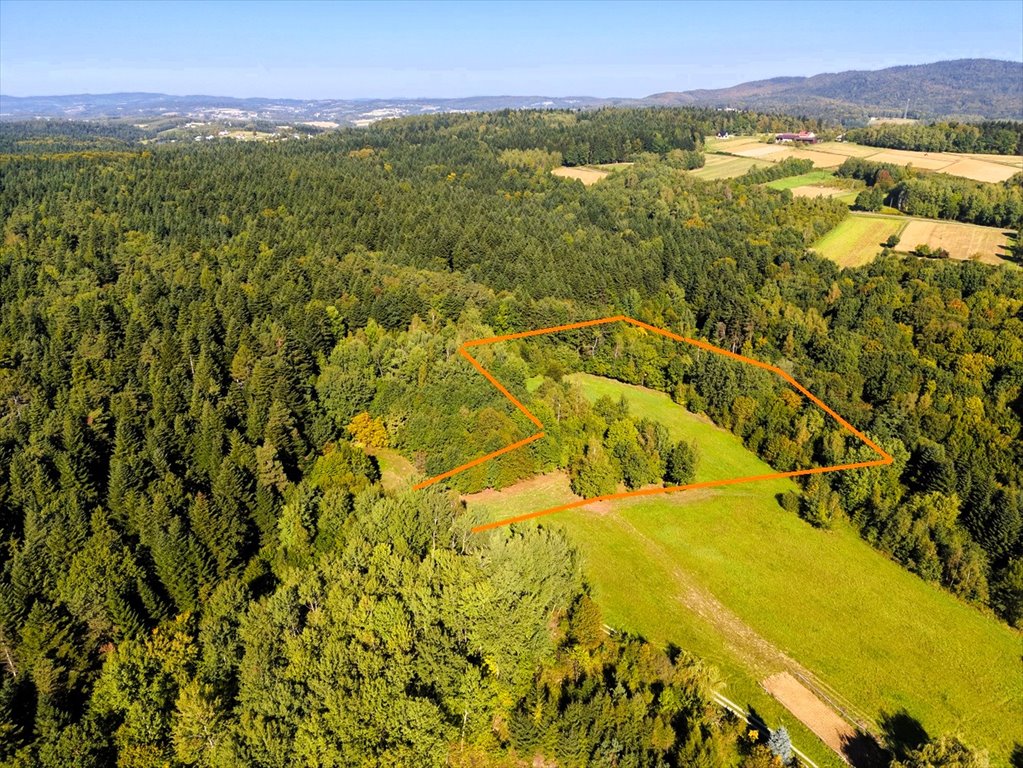 Działka 116 ar - Bączal Górny - lasy, prywatność, do rekreacji Bączal Górny  11 600m2 Foto 1