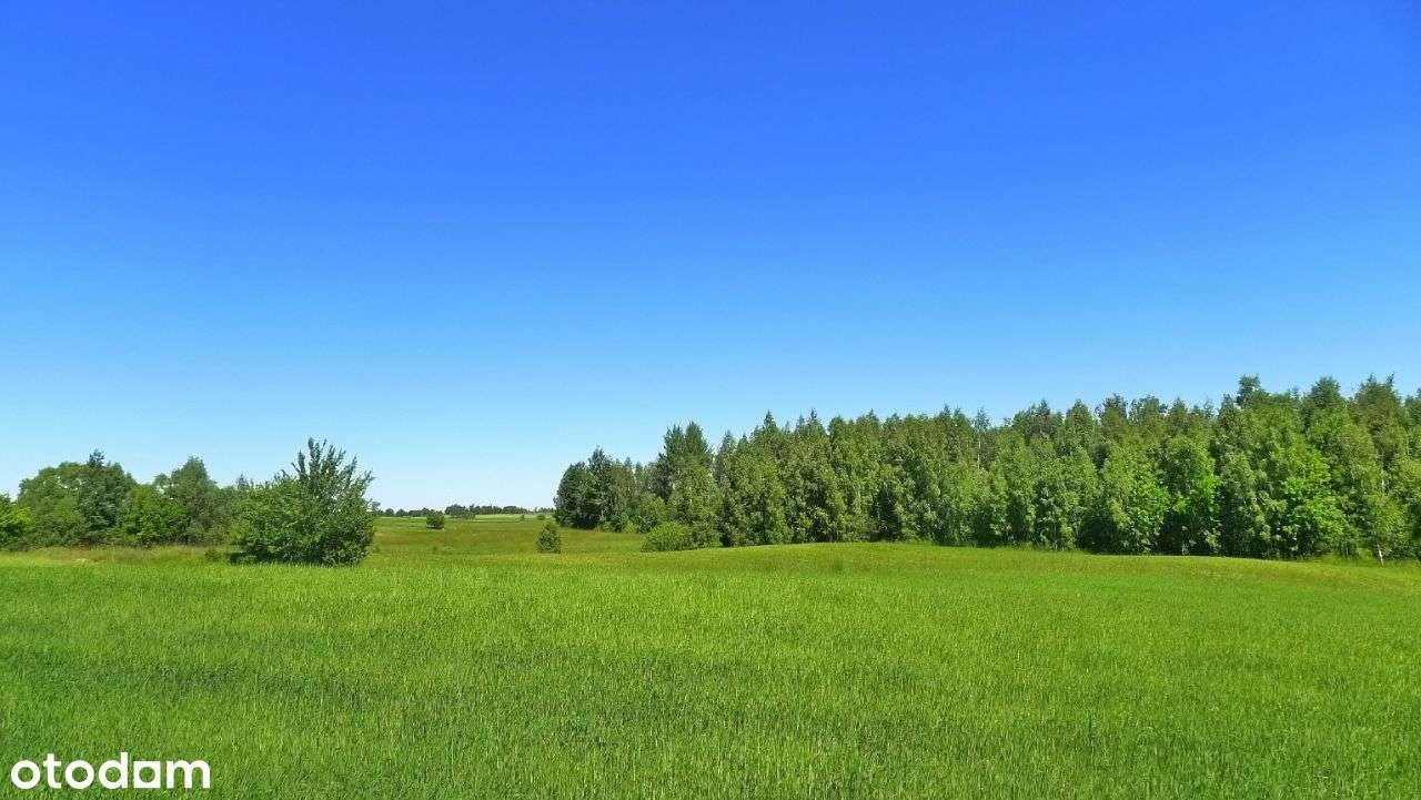 Działka rolna na sprzedaż Krasnopol  3 000m2 Foto 2