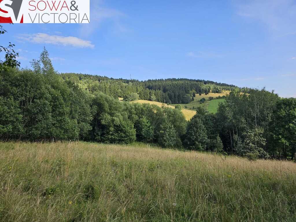 Działka budowlana na sprzedaż Sierpnica  1 078m2 Foto 1