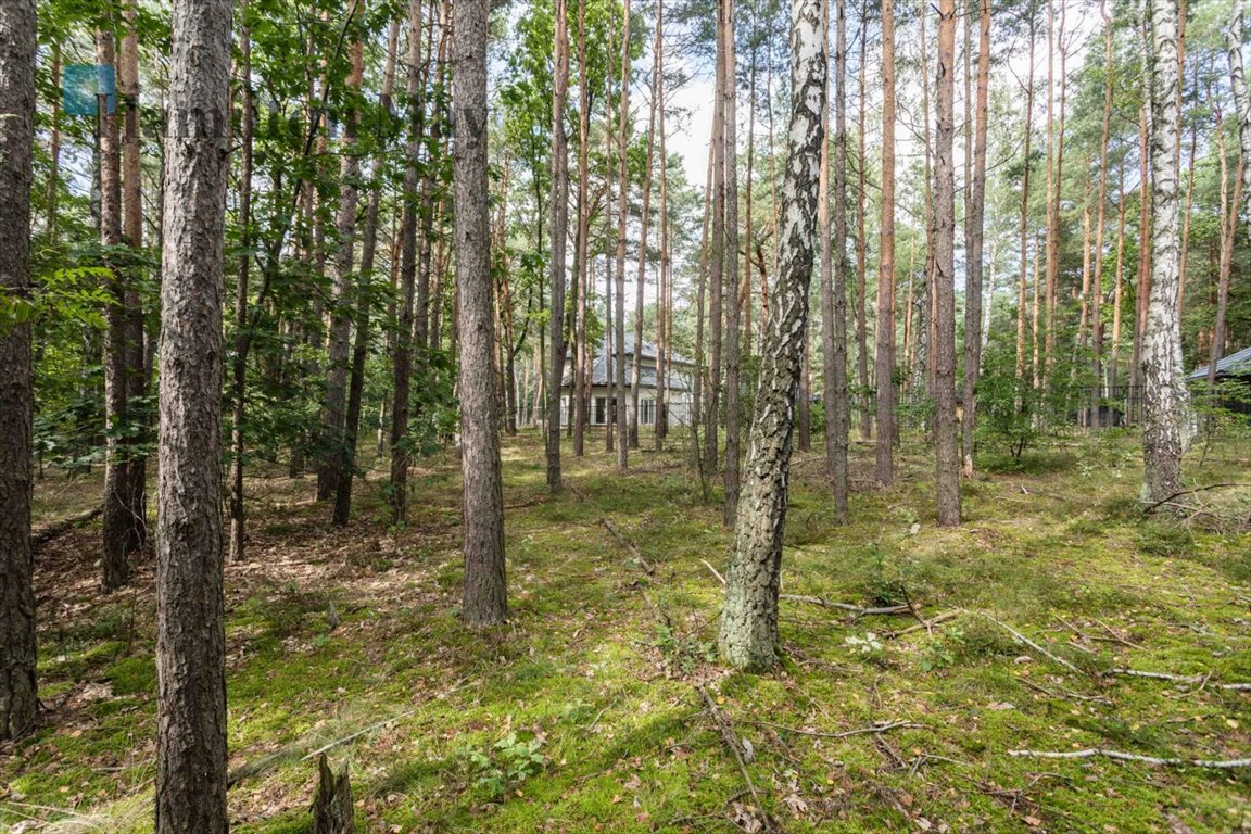 Działka inna na sprzedaż Sękocin-Las, Sękocin-Las, Sękocin Las  2 100m2 Foto 6