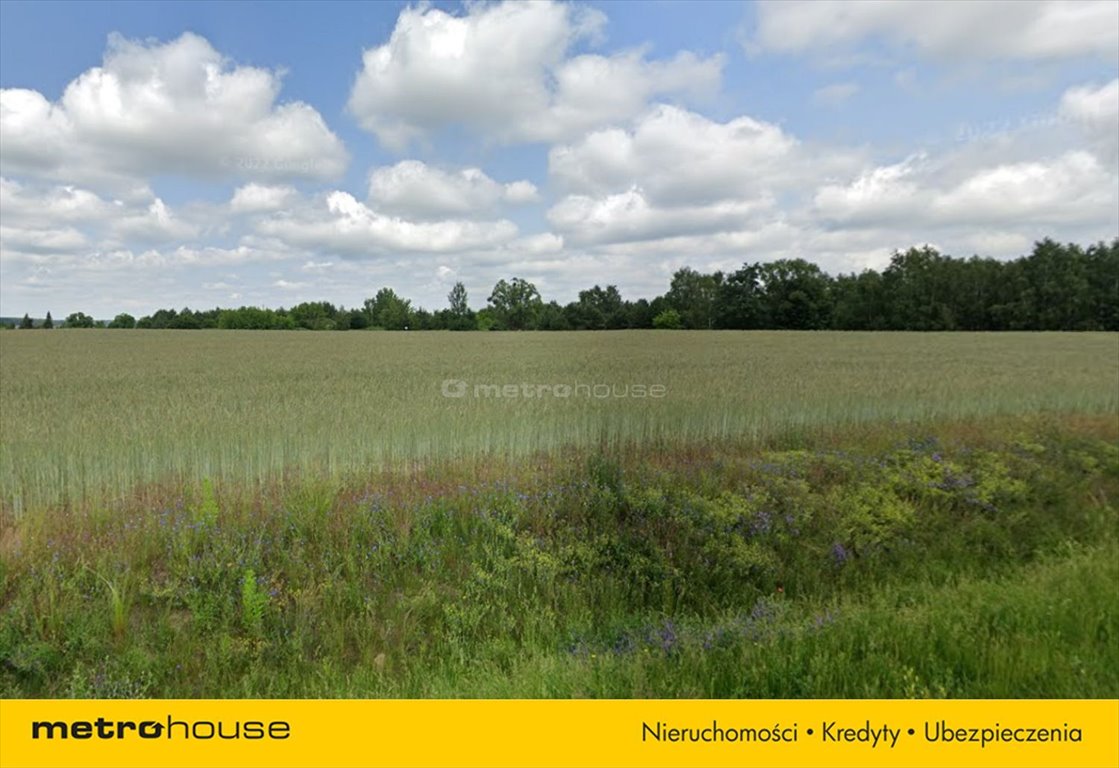 Działka inna na sprzedaż Zajączkowo  75 000m2 Foto 4