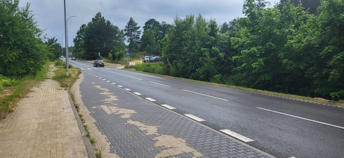 Działka budowlana na sprzedaż Bojano, Wybickiego  2 391m2 Foto 6