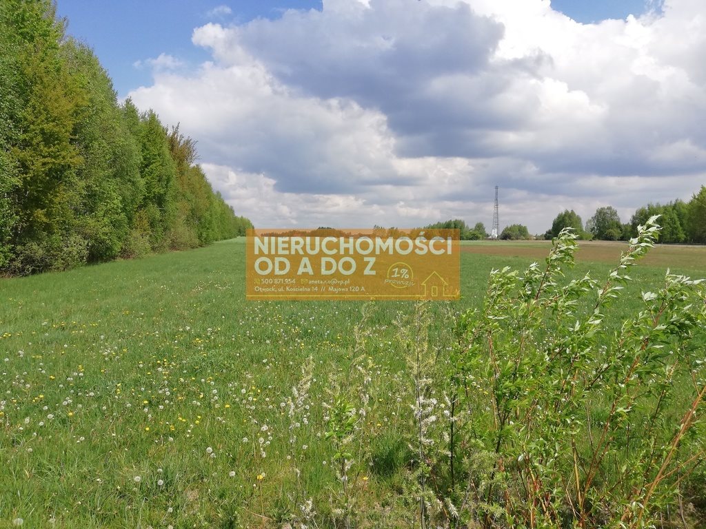Działka siedliskowa na sprzedaż Bocian 10 000m2 Foto 1 Działka siedliskowa na sprzedaż Bocian 10 000m2 Foto 1