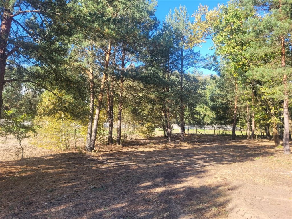 Działka budowlana na sprzedaż Nowe Grabie, Pod Klonami  2 800m2 Foto 13