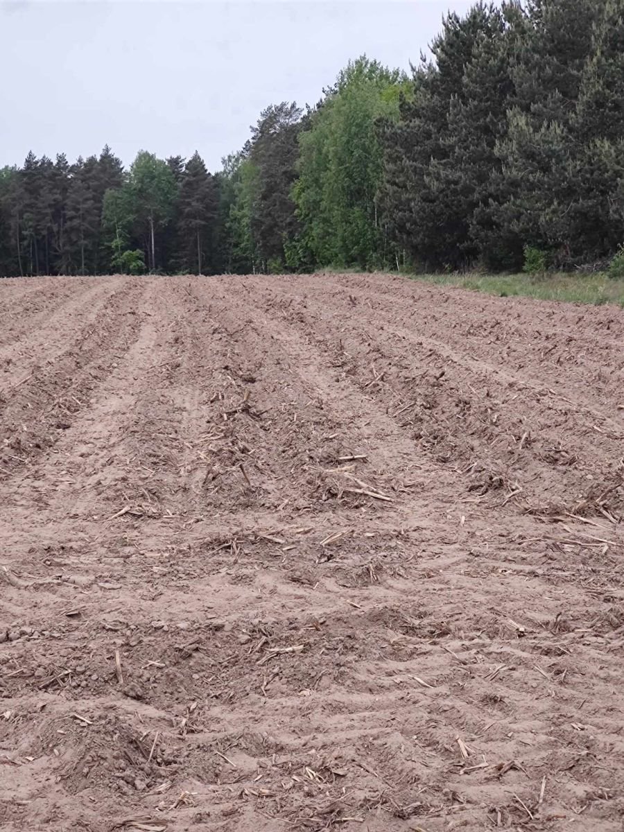 Działka budowlana na sprzedaż Trypucie  7 000m2 Foto 2