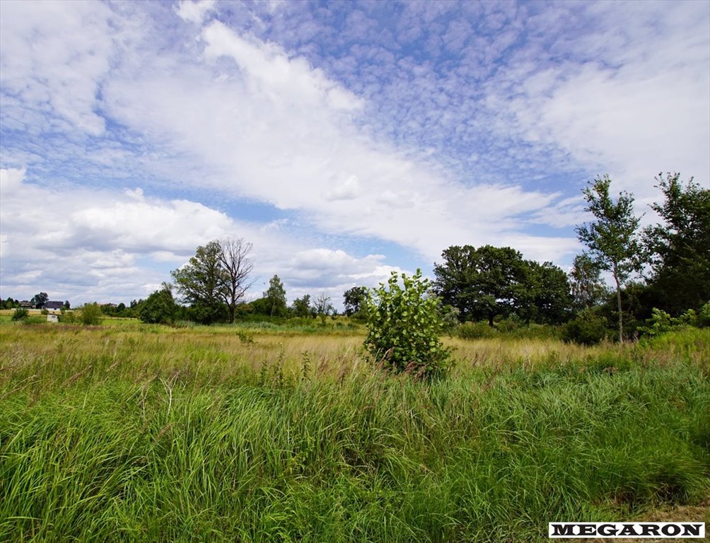 Działka inna na sprzedaż Brzeziny-Kolonia  1 491m2 Foto 2