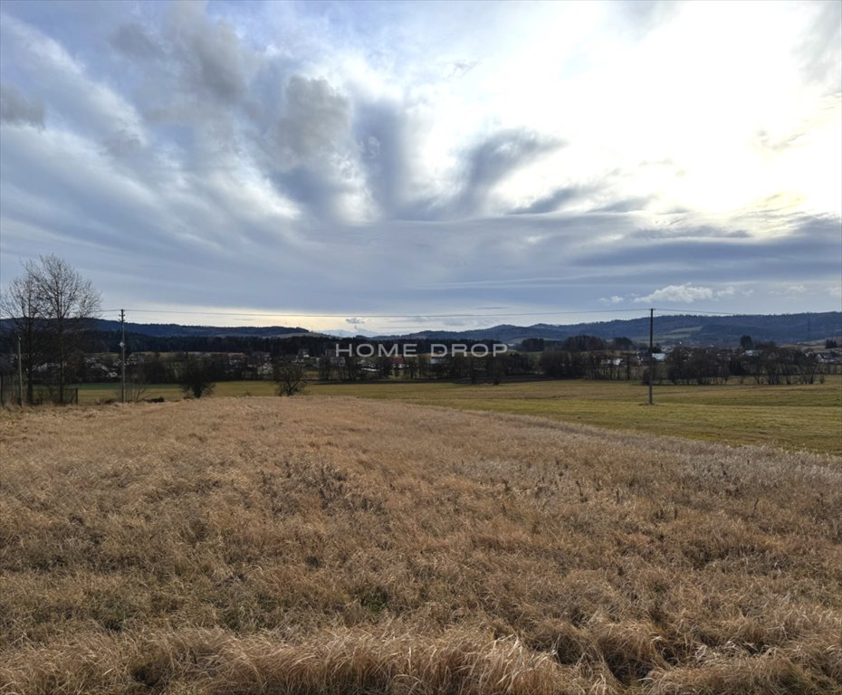 Działka budowlana na sprzedaż Skawa, Gubałówka  2 358m2 Foto 2