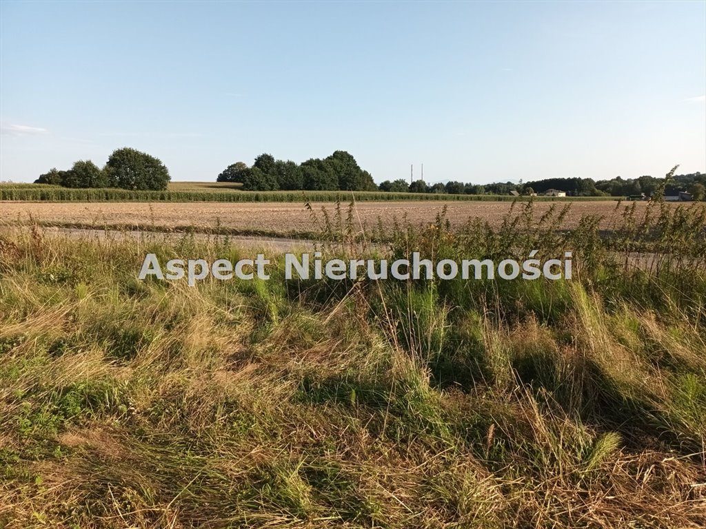 Działka rolna na sprzedaż Godów  4 908m2 Foto 3