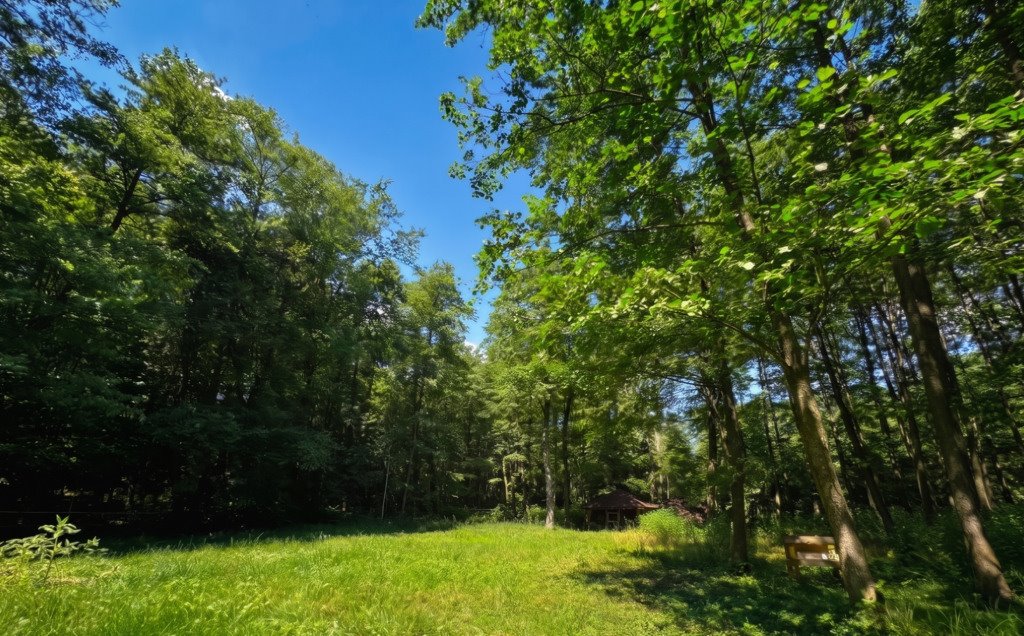 Na sprzedaż działka 76 arów z warunkami zabudowy w Strażowie Strażów  7 600m2 Foto 1